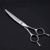 Ciseaux de coiffeur Ciseaux de coiffure professionnels Ciseaux amincissants Ciseaux de coupe de cheveux de 6 pouces Diamant b