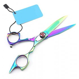 Ciseaux de beauté de coiffure professionnels Ensemble de coiffure professionnel Ciseaux à dents Ciseaux à effiler Salon de co...