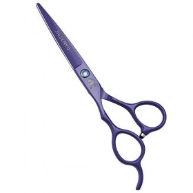 Kit de ciseaux de toilettage, ciseaux de coiffure en acier 440c de 6 pouces Outils de salon de coiffure ou de ménage Ciseaux 