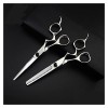 Freelander Personality Styleciseaux de coupe de cheveux Professional Hairdressingciseaux de coupe de cheveux Barber Shears Sa