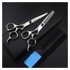 Freelander Personality Styleciseaux de coupe de cheveux Professional Hairdressingciseaux de coupe de cheveux Barber Shears Sa