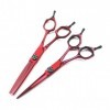 Ciseaux de coupe de cheveux, 15,2 cm rouge japonais 9CR en acier inoxydable rasoir, ciseaux de salon de coiffure