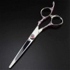 Ciseaux de coiffeur professionnel 440c 6 pouces rose prune poignée ciseaux de cheveux salon de coupe makas de coiffeur aminci