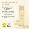 Telse Kombucha Teatox Essence aux acides hyaluroniques, soin du visage végétalien pour peaux sensibles, 5,07 Fl Oz, 150 ml