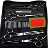 Ciseaux de coiffure Ensemble de ciseaux de coiffure professionnels Send Comb Silver-Black