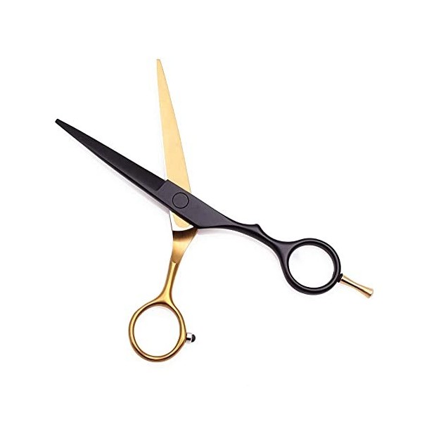 QZH Ciseaux de Coiffure, Ciseaux de Coiffure de 6 Pouces, Ciseaux de Coiffure Professionnels, Outils damincissement Ciseaux 