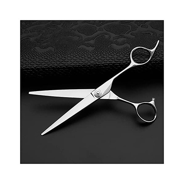 QZH Ciseaux de Coiffeur de 6,5 Pouces, Ciseaux de Coiffeur Professionnels, Ciseaux de Coiffure, Ciseaux Plats, Ciseaux de Cou