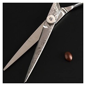 Ciseaux de coiffure à motifs, cheveux professionnels à bord de rasoir, cisailles plates, cisailles texturisantes pour salon ...