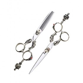 leybold Set De Ciseaux De Coiffure De Coiffure De 6,0 Pouces Ensemble De Ciseaux en Acier Inoxydable De 6,0 Pouces, 440C Salo