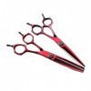 Ciseaux de coupe de cheveux, 15,2 cm de haute qualité, rouge japonais, acier inoxydable, coupe effilée, salon de coiffure, ba