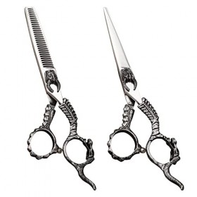 leybold Ciseaux De Coiffure Professionnels Ensemble De Ciseaux De Coiffure De 6,0 Pouces, Cisailles De Rasoirs De Coiffure De