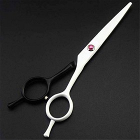 Ensemble de coiffure Ciseaux de coiffure professionnels 5,5 pouces Ensemble de ciseaux à cheveux pour peinture piano à deux q...