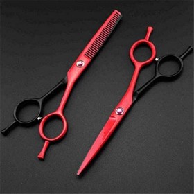 Ensemble de coiffure Ciseaux de coiffure professionnels 5,5 pouces Ensemble de ciseaux à cheveux pour peinture piano à deux q