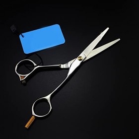 Ciseaux à cheveux professionnels pour salon de coiffure, ciseaux de coupe, ciseaux à cheveux en forme dargent couleur: coup R...