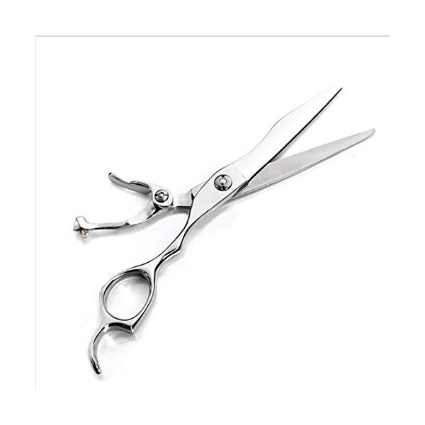 GaoF Kit Ciseaux Ciseaux Professionnels - Ciseaux Plats/Ciseaux à Dents/Cisseaux Fins pour Ciseaux de Coupe de Cheveux Taille