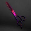 XiYou Ciseaux de Coupe de Cheveux, Ciseaux de Coupe de Cheveux gaucher Professionnel Japon 440C 6 Pouces Violet Cheveux Aminc