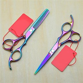 Ciseaux à cheveux professionnels, ciseaux de coupe de coiffure + ciseaux amincissants, outils de coiffure couleur: 2 pièces ...