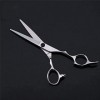 Ciseaux de coiffeur ciseaux de coiffure professionnels ensemble de ciseaux amincissants 440C poignée de Dragon dor 6 pouces 