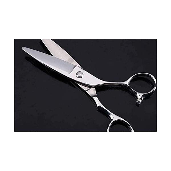 Ciseaux de barbier Ciseaux de coiffure professionnels Ciseaux amincissants Ciseaux de coupe de cheveux de 6 pouces Diamant bl