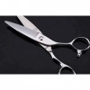 Ciseaux de barbier Ciseaux de coiffure professionnels Ciseaux amincissants Ciseaux de coupe de cheveux de 6 pouces Diamant bl