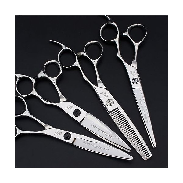 Lot de 10 ciseaux de coupe de cheveux, ciseaux de coiffure, ciseaux à effiler professionnels pour hommes, femmes, enfants, sa