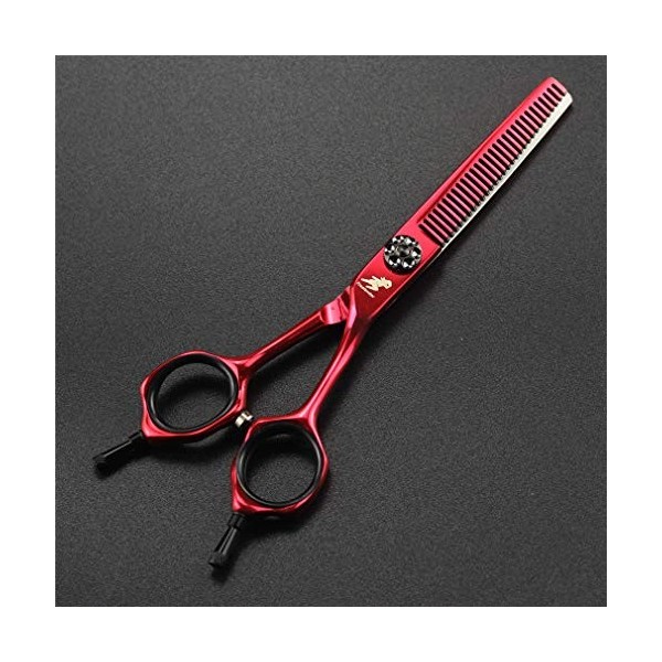 Ensemble de ciseaux de coiffeur, ciseaux de coiffure professionnels en acier inoxydable de 15,2 cm, utilisation pour salon de