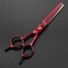 Ensemble de ciseaux de coiffeur, ciseaux de coiffure professionnels en acier inoxydable de 15,2 cm, utilisation pour salon de