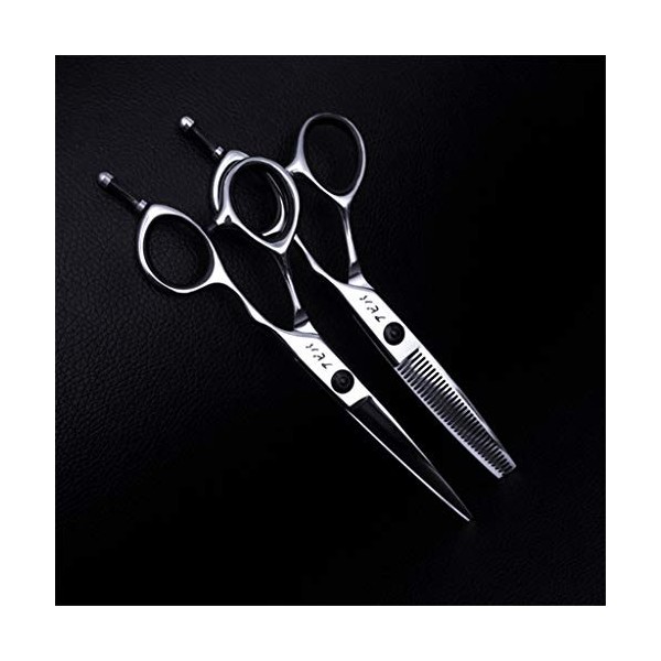 Professionnel Coiffure Barber Scissor Set 440C Japon Coiffeurs en Acier Coupe De Cheveux Silence Salon Dilution Ciseaux De Co