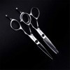 Professionnel Coiffure Barber Scissor Set 440C Japon Coiffeurs en Acier Coupe De Cheveux Silence Salon Dilution Ciseaux De Co