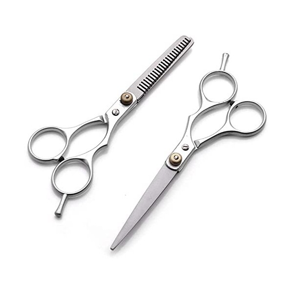 JINJIA Ensemble de Ciseaux de Coiffure pour débutants, Ciseaux en Acier Inoxydable de Salon Professionnel Argent 6 Pouces