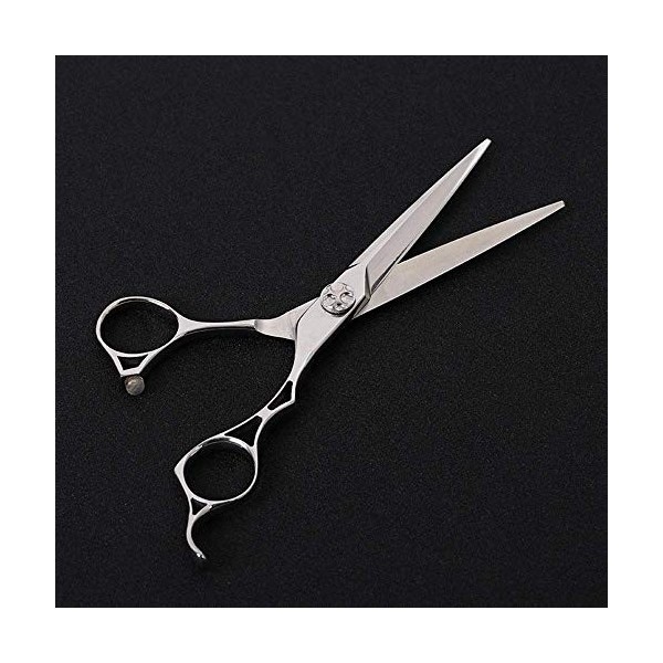 GaoF Ciseaux de Coiffure Professionnels de Cisaillement Plat de 6 Pouces, Ciseaux de Coiffure Haut de Gamme, Cisaillement Pla