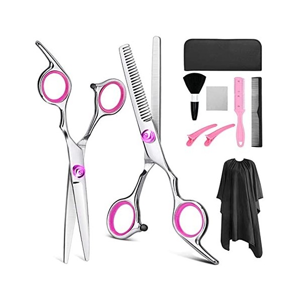 Cisailles de Coupe des Cheveux 10 pcs Set Professional 6 Ciseaux à Cheveux avec Sac à Pince Peigne Pinceau Couple Coiffeur