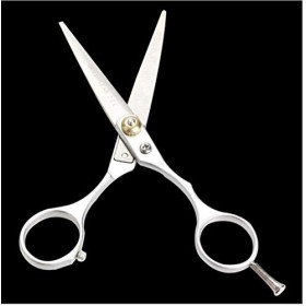 Ensemble de coiffure en acier inoxydable, coupe de cheveux régulière, ciseaux amincissants, outil de Salon de coiffure Rasage...