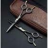 Ensemble de coiffure professionnel 5,5 pouces ciseaux à deux queues ciseaux de coupe amincissants noirs ensemble de ciseaux 