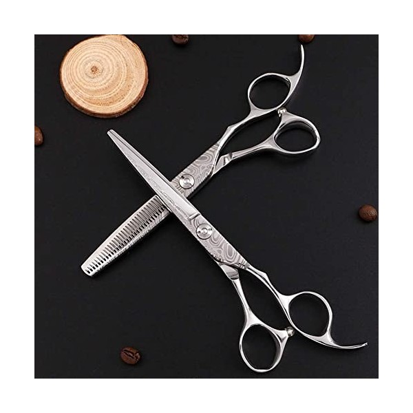 Ciseaux de coiffure pour salon de coiffure, ciseaux de barbier argentés, ciseaux à dents plates en acier 440c, FlatCut6Inch 