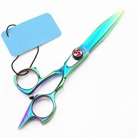 Ciseaux de coupe de cheveux, 5,5 pouces, ciseaux professionnels 440c pour salon de maquillage, ciseaux amincissants, ciseaux ...