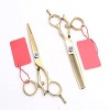 Poignée pivotante dorée Purple Dragon Hairdressinghaircutting scissors Cutting Shears Thinninghaircutting scissors Salon Hair