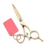 Poignée pivotante dorée Purple Dragon Hairdressinghaircutting scissors Cutting Shears Thinninghaircutting scissors Salon Hair