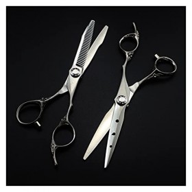 Ciseaux amincissants FrostedHair de 6 pouces, ciseaux de coiffure, ciseaux de coiffure couleur: amincissant ensemble 