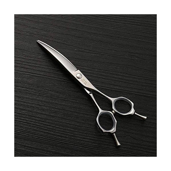 Ciseaux de coupe de cheveux, Ciseaux de coiffure professionnels Ciseaux de coiffure en acier inoxydable 440C, 6. 0 Ciseaux de