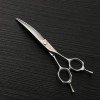 Ciseaux de coupe de cheveux, Ciseaux de coiffure professionnels Ciseaux de coiffure en acier inoxydable 440C, 6. 0 Ciseaux de
