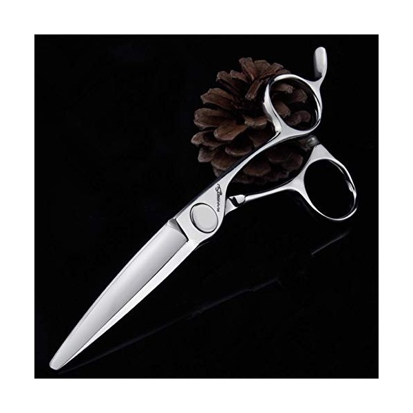 Coiffeurs Coiffure Professionnel Coiffure Ciseaux Barber Set, Kit de coupe de cheveux avec peigne et boîtier, outil de façonn