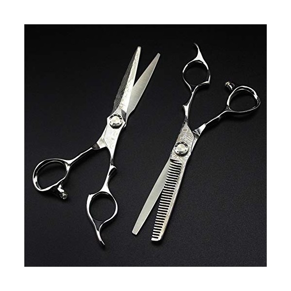 Ensemble de ciseaux de coupe de cheveux de coiffure professionnelle, outils de coupe de cheveux cisailles ensemble de coiffeu