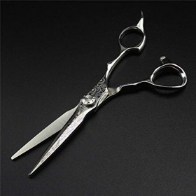 Ensemble de ciseaux de coupe de cheveux de coiffure professionnelle, outils de coupe de cheveux cisailles ensemble de coiffeu