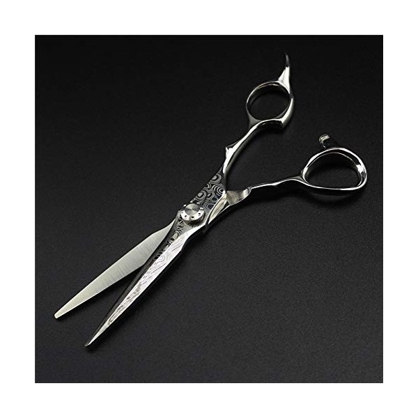 Ensemble de ciseaux de coupe de cheveux de coiffure professionnelle, outils de coupe de cheveux cisailles ensemble de coiffeu