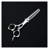 Sword Series Type Ciseaux de coupe de cheveux Ensemble de ciseaux de coiffure Salon de coiffure pour coiffeurs professionnels