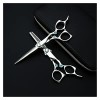 Sword Series Type Ciseaux de coupe de cheveux Ensemble de ciseaux de coiffure Salon de coiffure pour coiffeurs professionnels