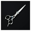 Sword Series Type Ciseaux de coupe de cheveux Ensemble de ciseaux de coiffure Salon de coiffure pour coiffeurs professionnels