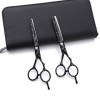 Ciseaux de coupe de cheveux de coiffure professionnels Ciseaux de coupe de cheveux de salon de coiffure Kit de ciseaux de che