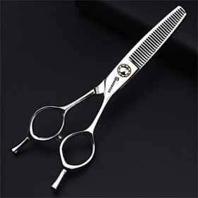 KOAIEZ Ensembles De Ciseaux De Coupe De Cheveux De 6,0 Pouces Argent , Kit Doutils De Cisaillement De Coiffure en Acier Ino